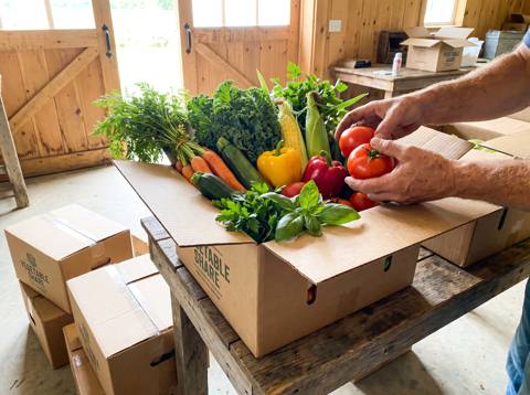 CSA Box