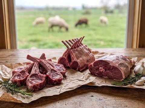 Grassfed Lamb