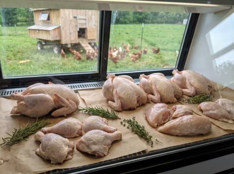 Pasture Chicken