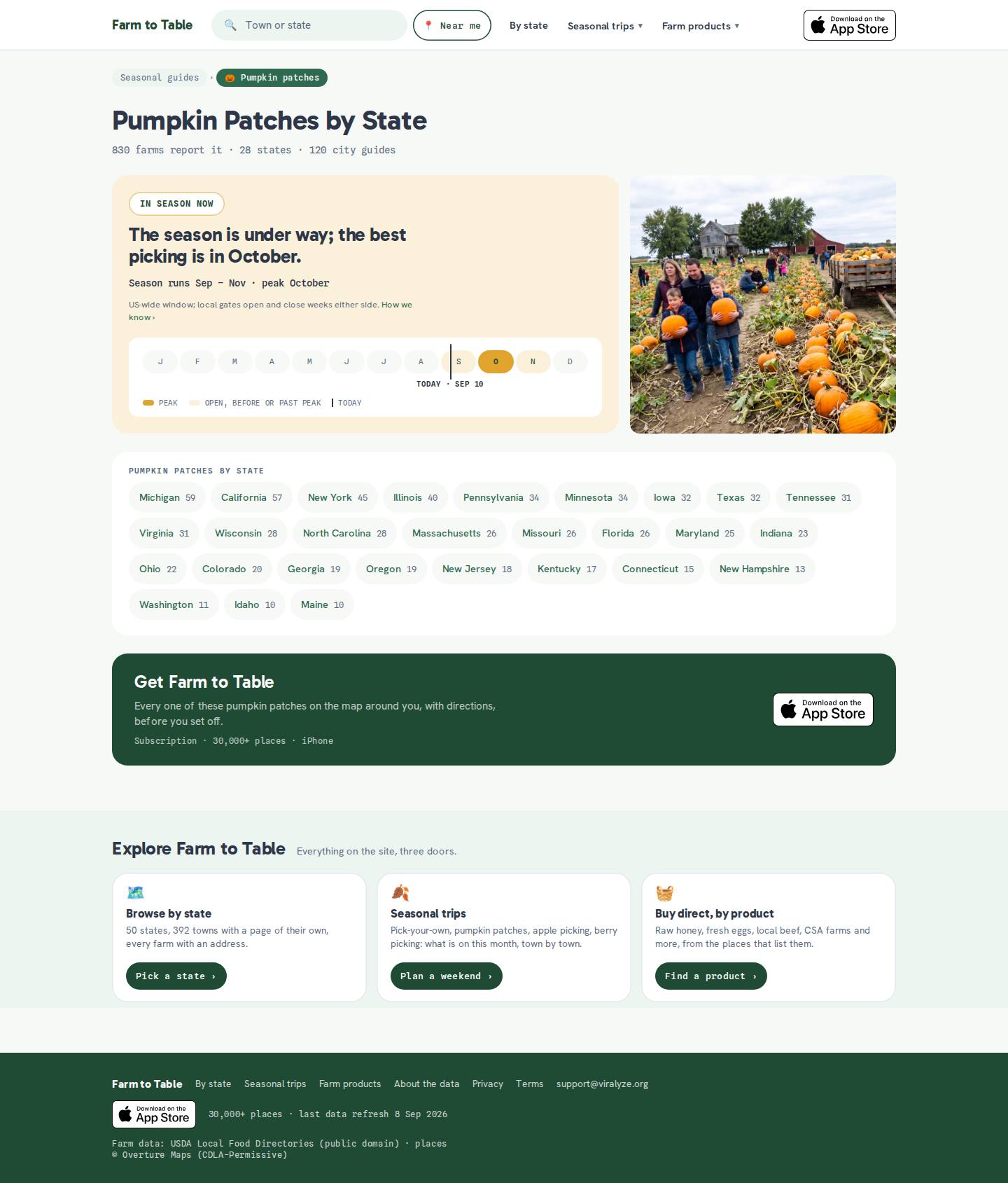Pumpkin Patches — хаб — после, десктоп