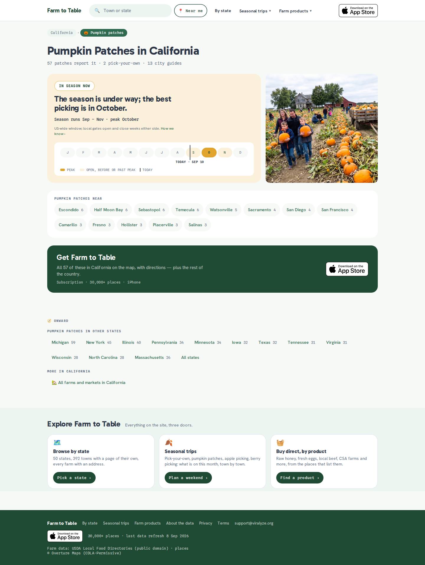 Pumpkin Patches — штат — после, десктоп