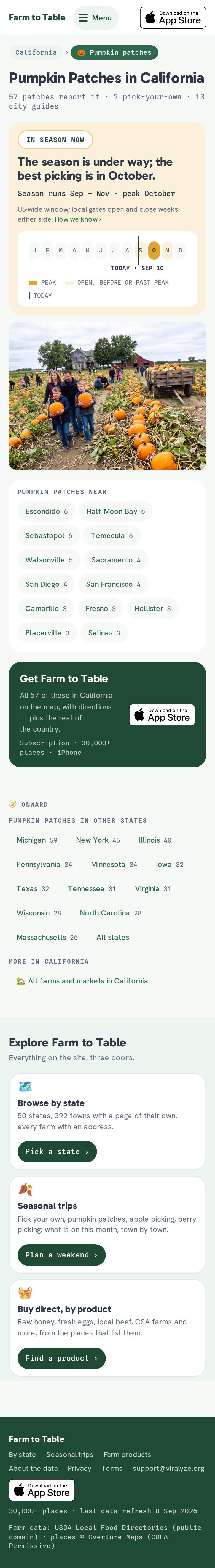 Pumpkin Patches — штат — после, мобильная