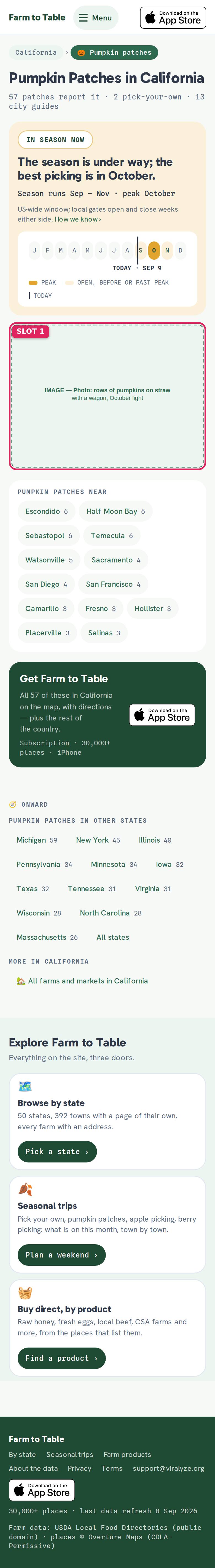 Pumpkin Patches — штат — до, мобильная