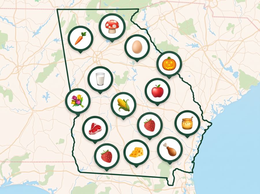 #10 Georgia