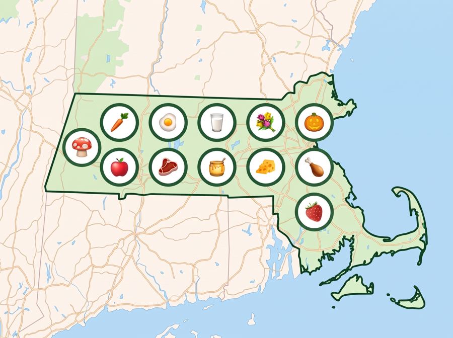 #21 Massachusetts