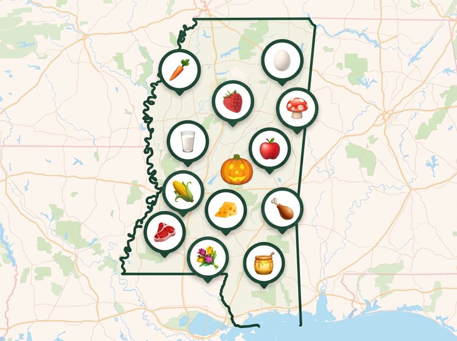 #24 Mississippi