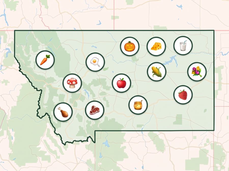 #26 Montana