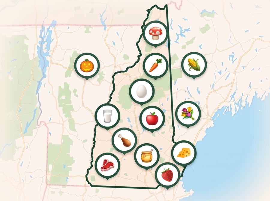 #29 New Hampshire