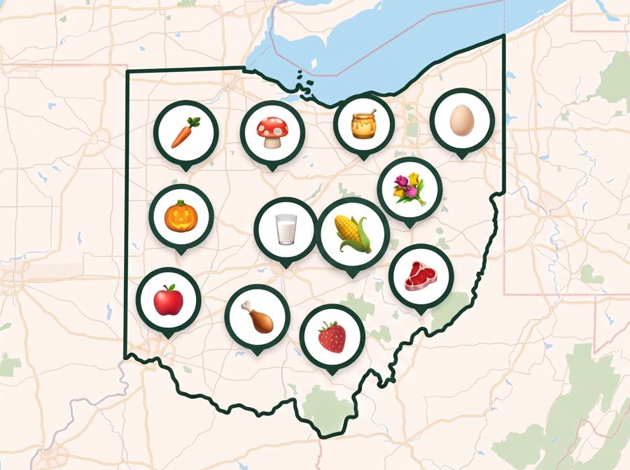 #35 Ohio